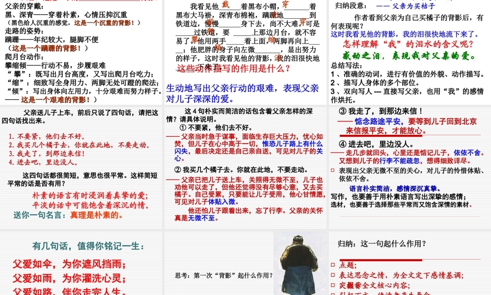 初中八年级语文上册背影课件人教版