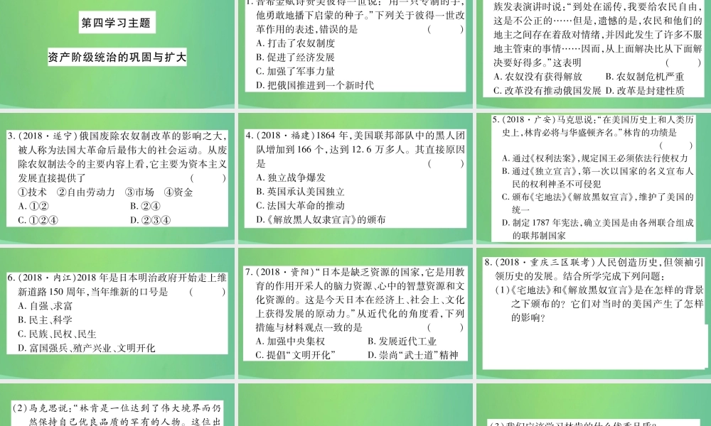 中考历史复习 第一篇 教材系统复习 4 世界古、近代史 第四学习主题 资产阶九年级统治的巩固与扩大习题课件