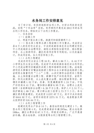 水务局工作安排意见