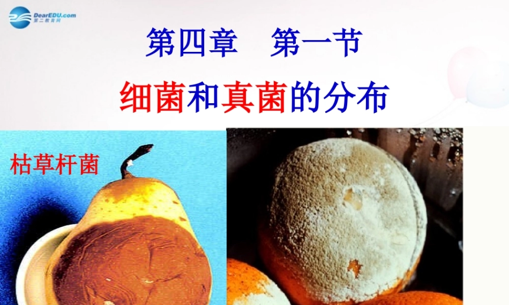 八年级生物上册 第五单元 第四章 第一节 细菌和真菌分布课件 新人教版 课件