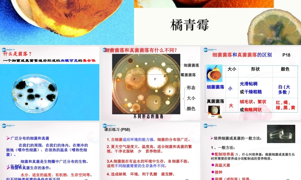 八年级生物上册 第五单元 第四章 第一节 细菌和真菌分布课件 新人教版 课件