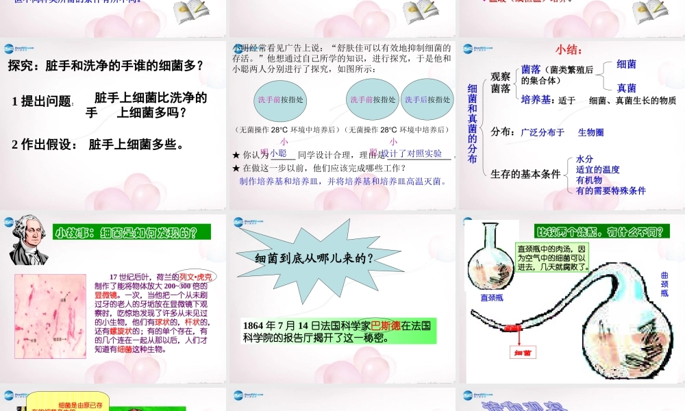 八年级生物上册 第五单元 第四章 第一节 细菌和真菌分布课件 新人教版 课件
