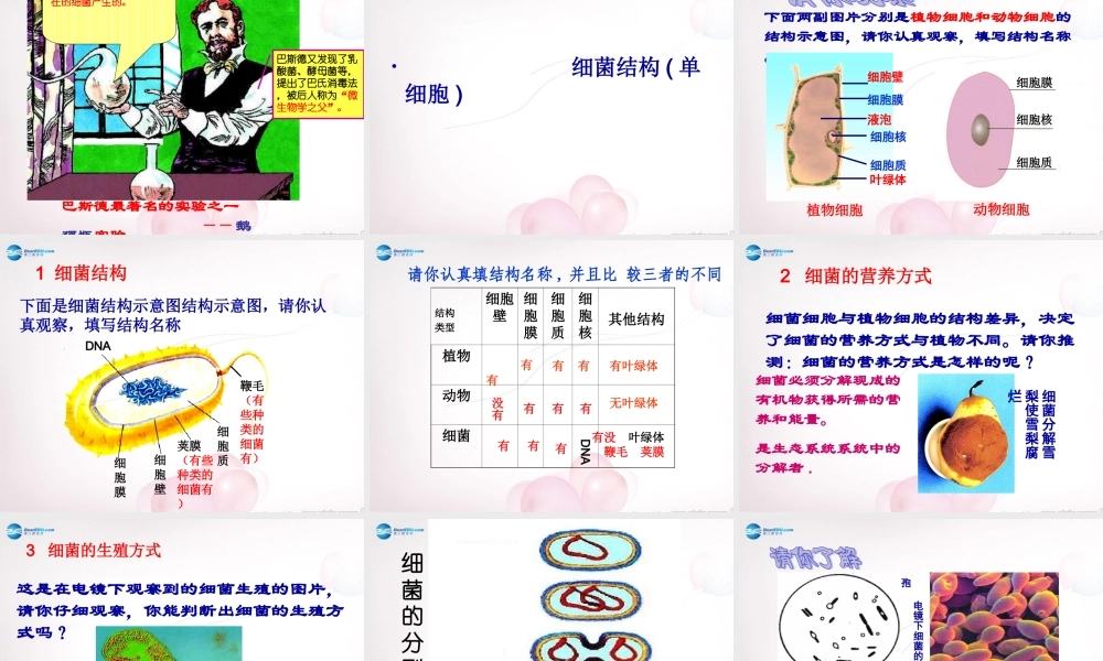 八年级生物上册 第五单元 第四章 第一节 细菌和真菌分布课件 新人教版 课件