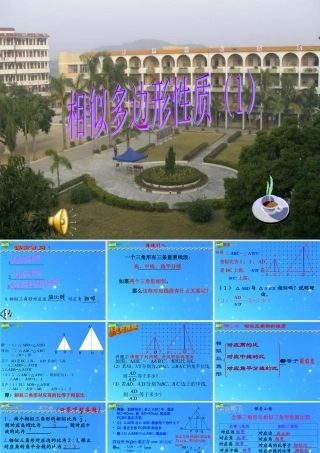 八年级数学下册 4-8相似多边形的性质 课件 北师大版 课件