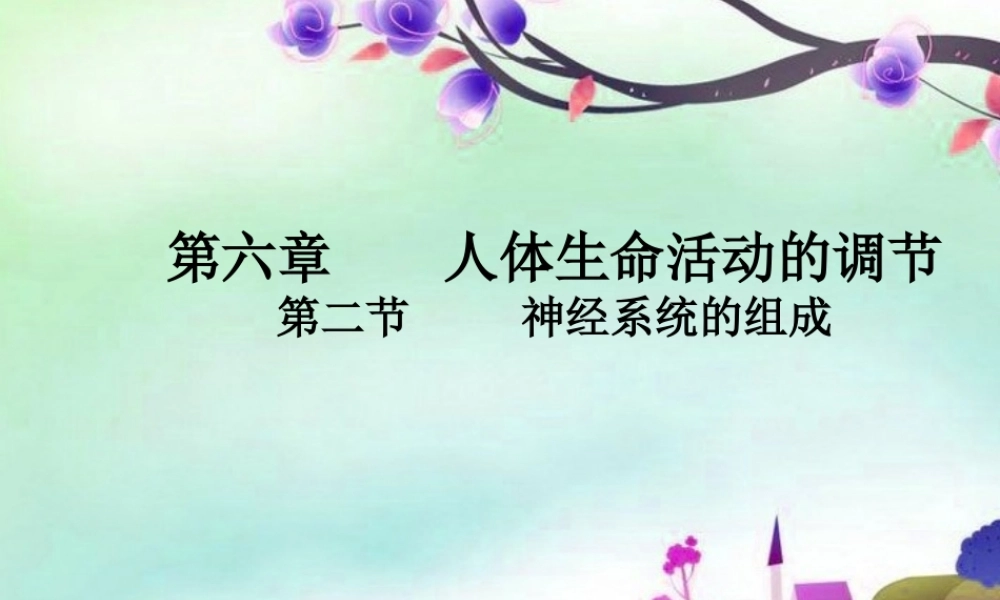七年级生物下册 神经系统的组成课件 人教新课标版 课件