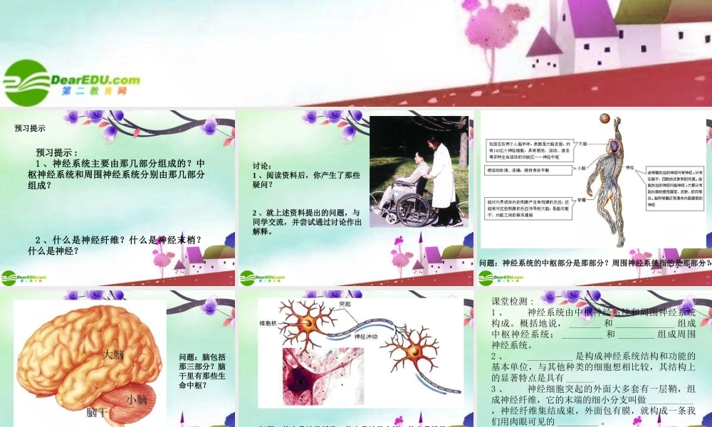 七年级生物下册 神经系统的组成课件 人教新课标版 课件