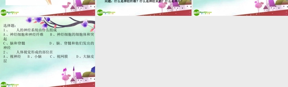 七年级生物下册 神经系统的组成课件 人教新课标版 课件