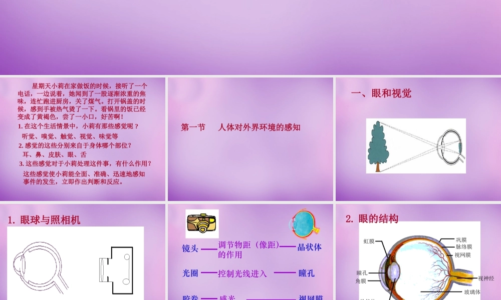 中学七年级生物下册 4.6 人体生命活动的调节课件 新人教版 课件