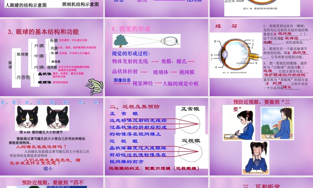 中学七年级生物下册 4.6 人体生命活动的调节课件 新人教版 课件