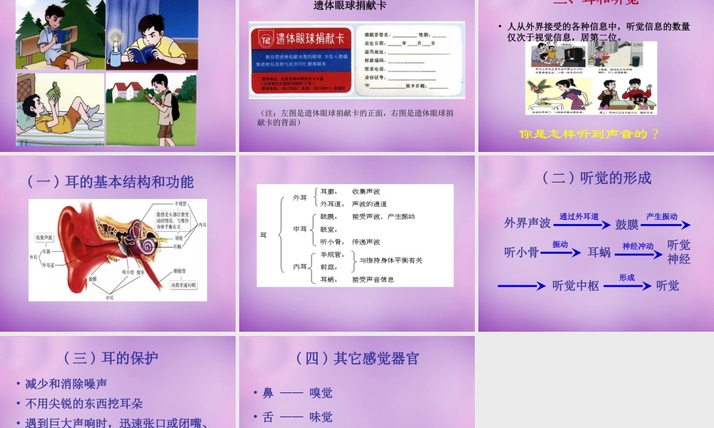 中学七年级生物下册 4.6 人体生命活动的调节课件 新人教版 课件