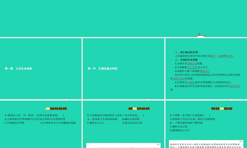 七年级生物上册 1.1.1 生物的基本特征课件 (新版)济南版 课件