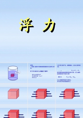 九年级物理 液体的浮力课件 人教新课标版 课件
