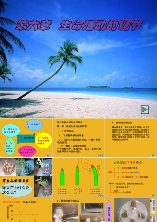 八年级科学下册 第六章 生命活动的调节教学指导课件 华东师大版 课件