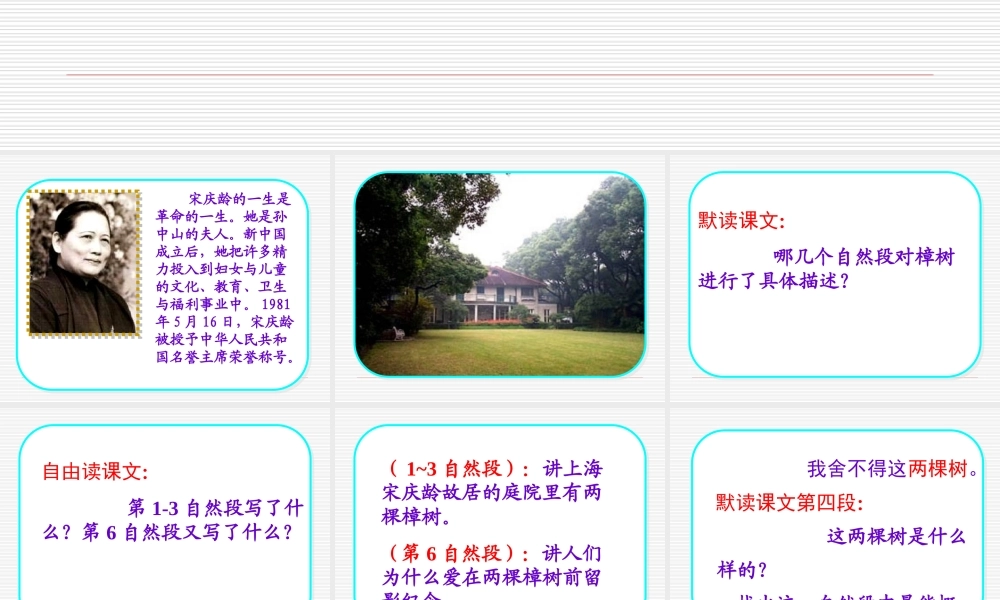 22宋庆龄故居的樟树PPT