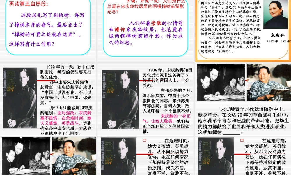 22宋庆龄故居的樟树PPT