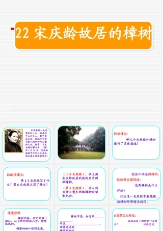 22宋庆龄故居的樟树PPT