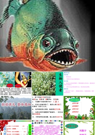八年级语文生物入侵者课件6 新课标 人教版 课件