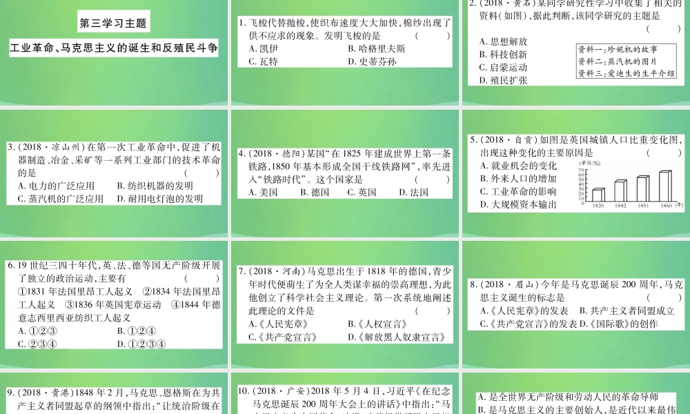 中考历史复习 第一篇 教材系统复习 4 世界古、近代史 第三学习主题 工业革命、马克思主义的诞生和反殖民斗争习题课件