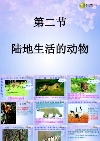 八年级生物上册 5.1.2 陆地生活的动物课件 新人教版 课件
