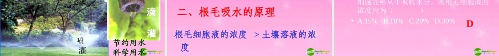 七年级生物上册 吸收作用课件 北师大版 课件