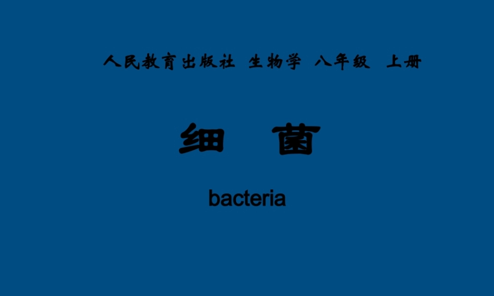八年级生物上册 第四章第二节细菌课件 人教新课标版 课件