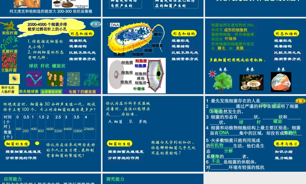八年级生物上册 第四章第二节细菌课件 人教新课标版 课件