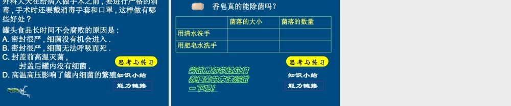 八年级生物上册 第四章第二节细菌课件 人教新课标版 课件