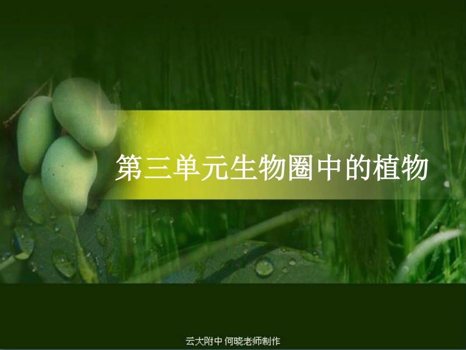 七年级生物上册 种子植物课件(pdf) 新人教版 课件_第1页