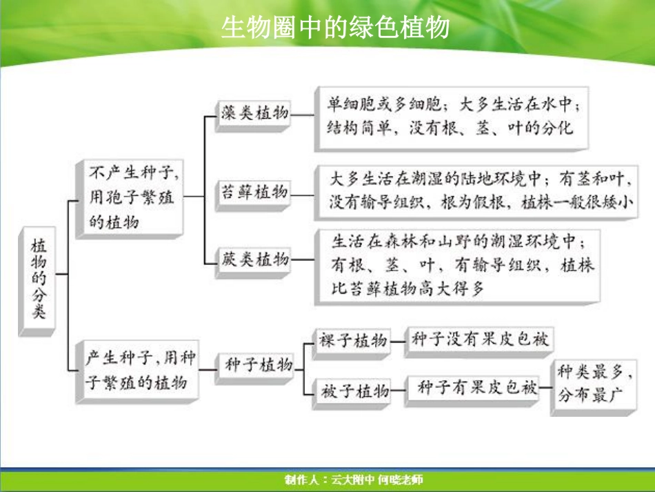 七年级生物上册 种子植物课件(pdf) 新人教版 课件_第3页