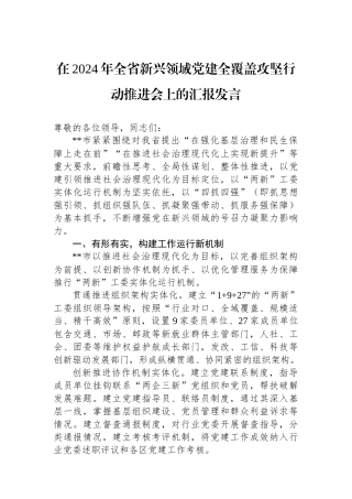在2024年全省新兴领域党建全覆盖攻坚行动推进会上的汇报发言