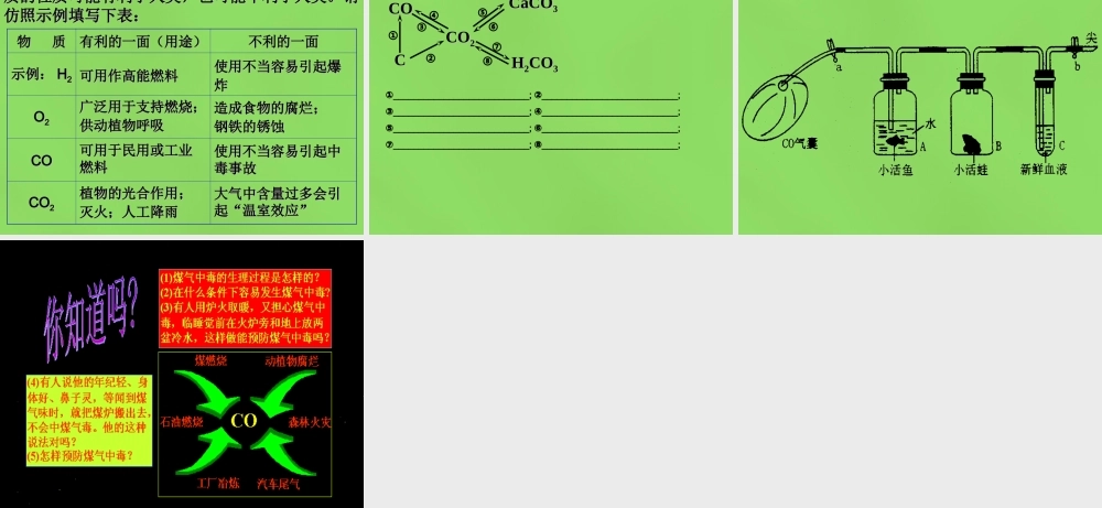 中学九年级化学上册 6.3 二氧化碳和一氧化碳课件 (新版)新人教版 课件