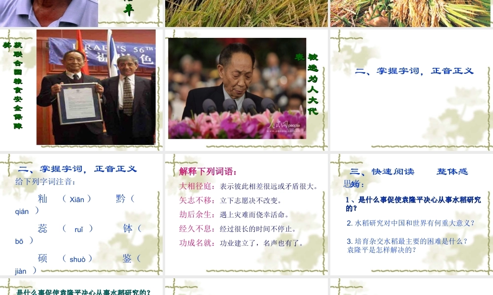 八年级语文杂交水稻之父 袁隆平课件 语文版 课件