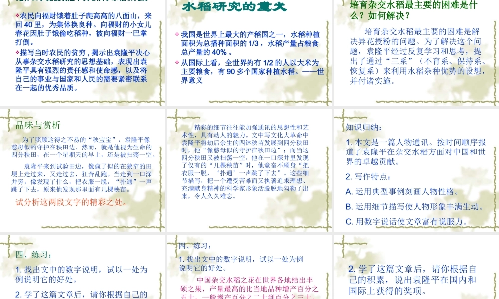 八年级语文杂交水稻之父 袁隆平课件 语文版 课件