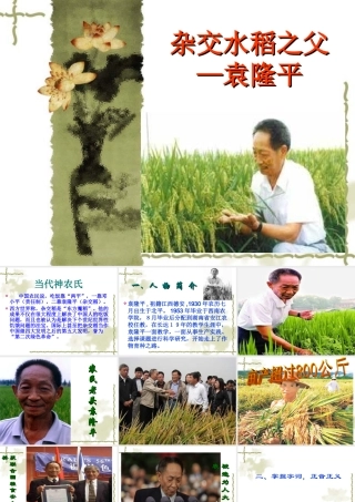 八年级语文杂交水稻之父 袁隆平课件 语文版 课件