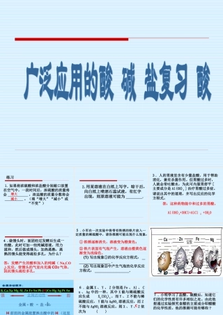初三化学广泛应用的酸 碱 盐复习 酸 课件