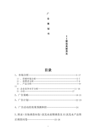XX洗发水广告策划书