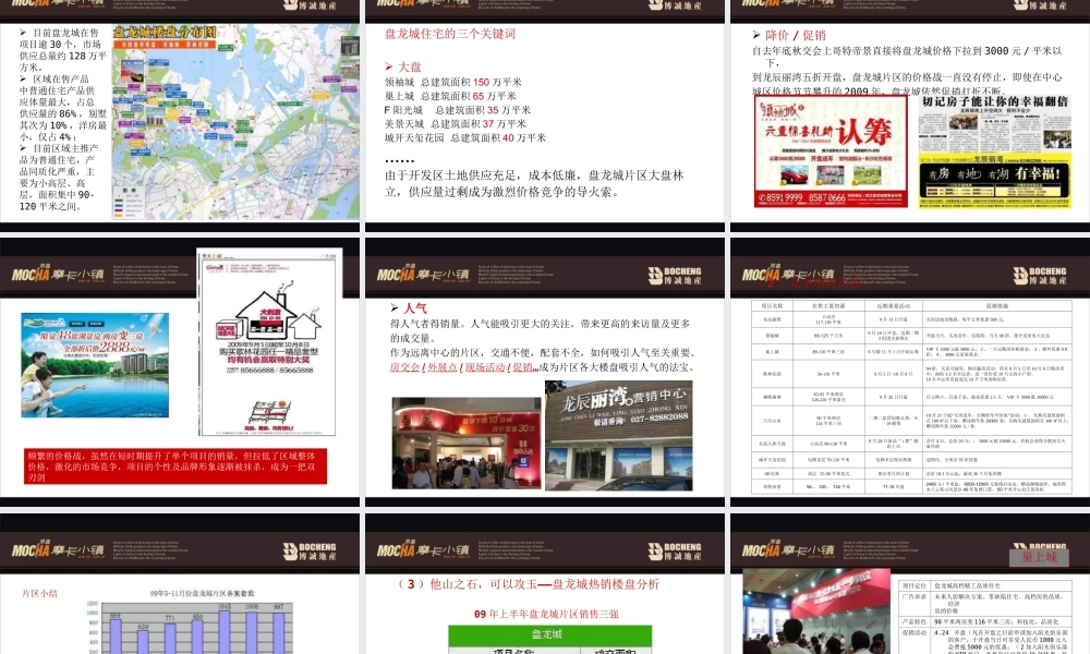 2010年武汉鼎鑫·摩卡小镇营销战略