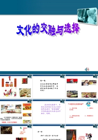 九年级历史与社会 第五单元 第三课(多元文化的交融)课件 人教新课标版 课件