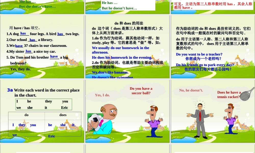 SectionAGrammarfocus3a—3c-(11)