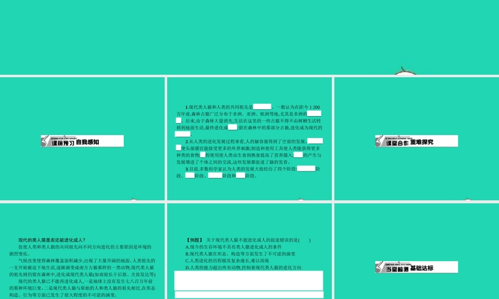 八年级生物下册 6.3.3 人类的起源课件 (新版)冀教版 课件
