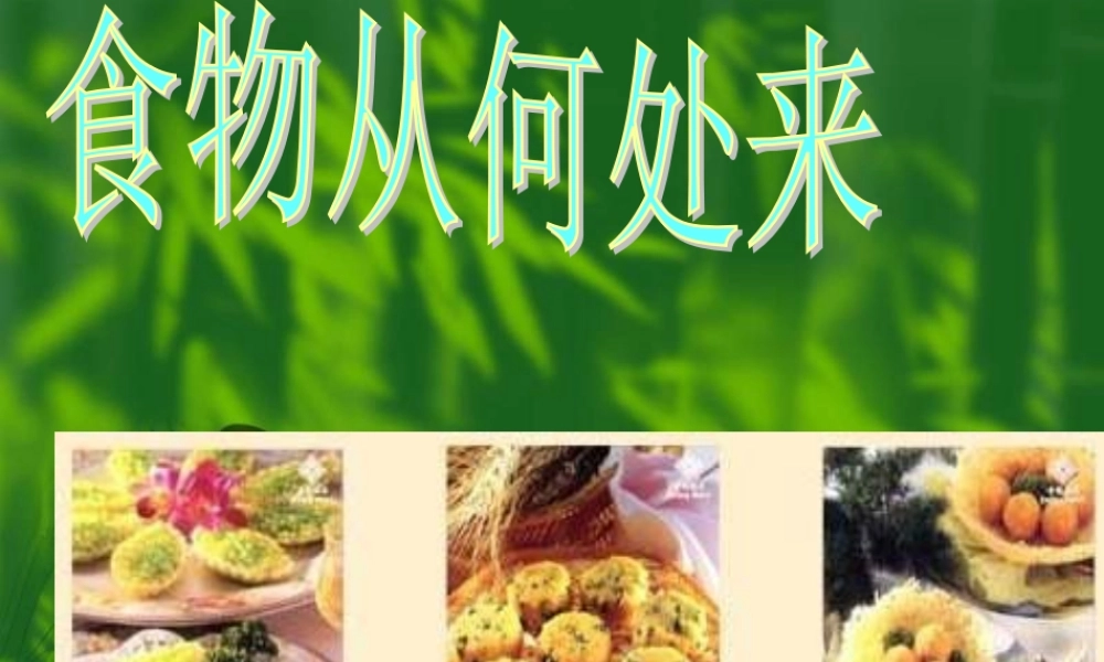 八年级语文食物从何处来1课件