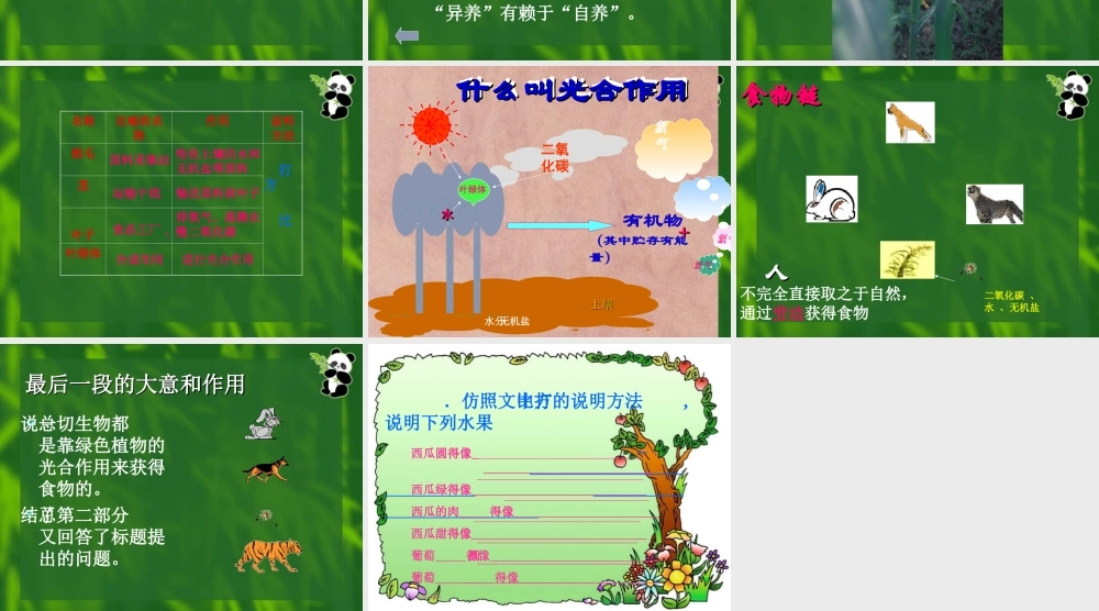 八年级语文食物从何处来1课件