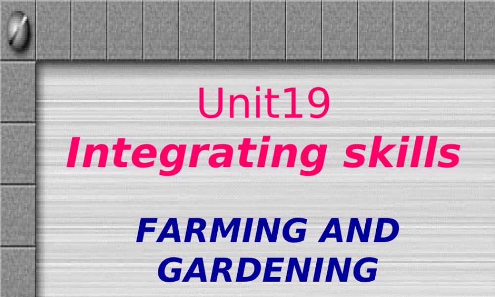 四川地区高一英语上Unit19 Integrating skills 人教版 课件