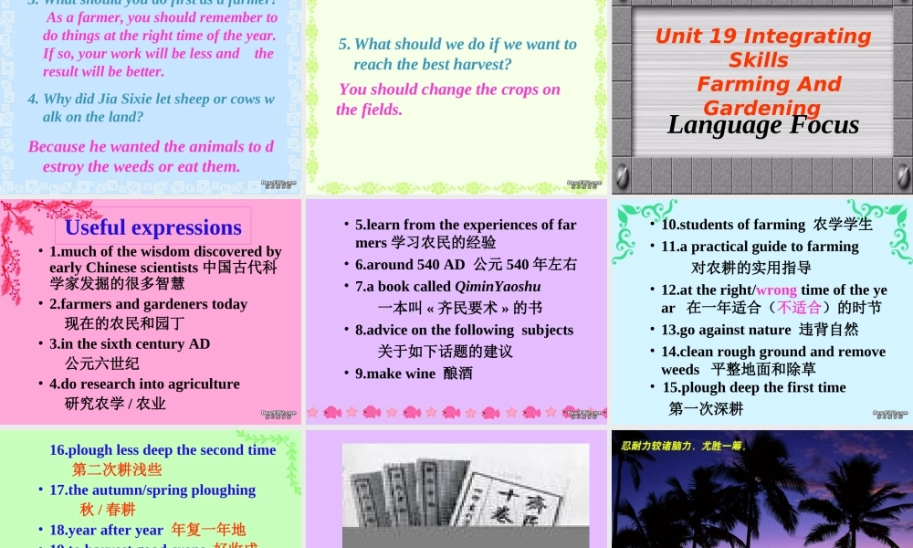 四川地区高一英语上Unit19 Integrating skills 人教版 课件