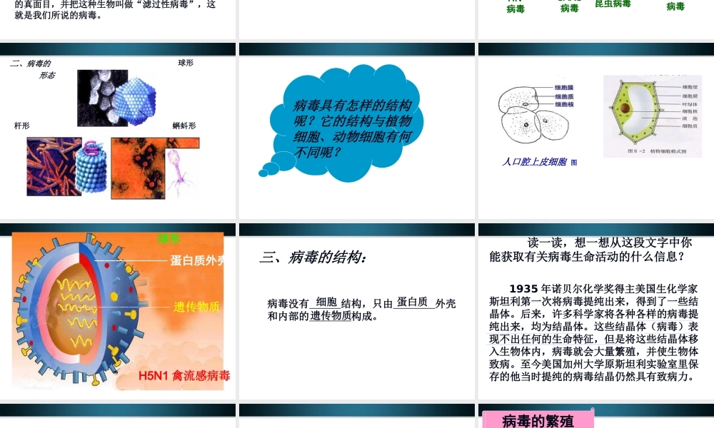 七年级生物上册 (病毒)新授课的课件 济南版 课件