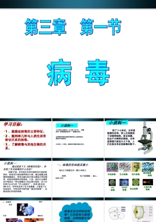 七年级生物上册 (病毒)新授课的课件 济南版 课件