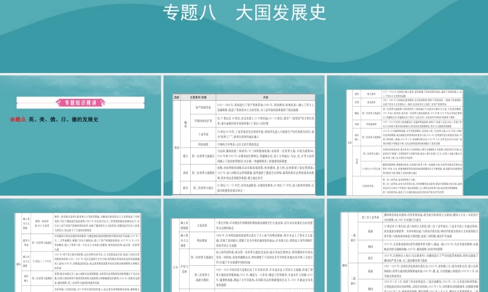 中考历史复习 专题八 大国发展史课件