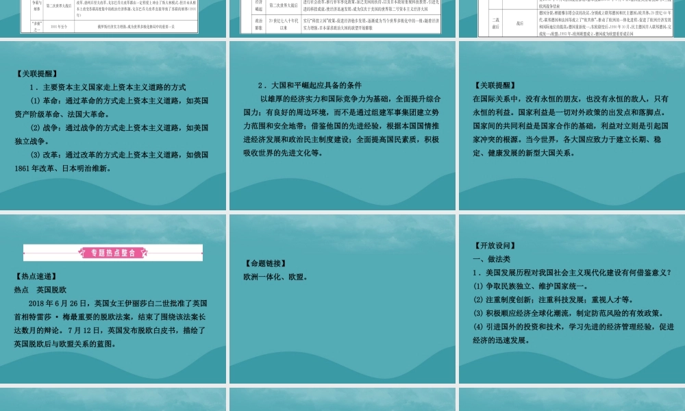 中考历史复习 专题八 大国发展史课件