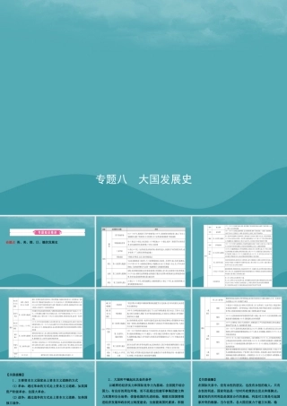 中考历史复习 专题八 大国发展史课件