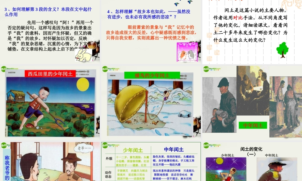 八年级语文下册(故乡)课件 鄂教版 课件